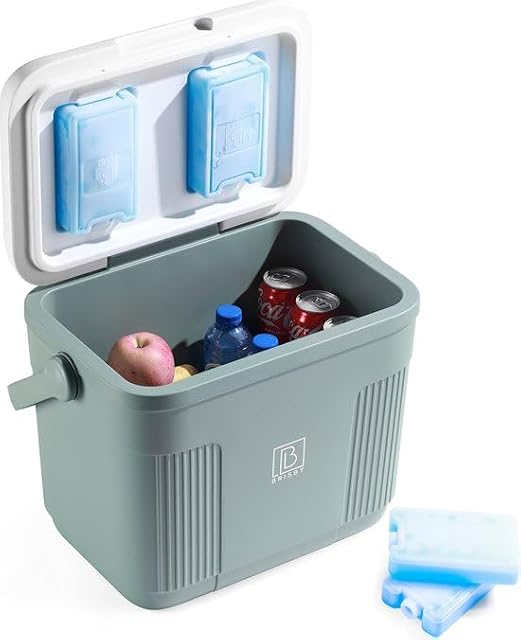 Brisby 22 litre green passive cool box with ice packs fitted in the lid